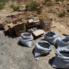 هندسة المتفجرات في الشرطة الفلسطينية تتلف كمية من الألعاب النارية