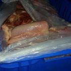 بالصور: الضابطة الجمركية تتلف 200 كغم من اللحوم الفاسدة في طولكرم