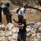 اصابات بالاختناق في قمع الاحتلال مسيرة بلعين الاسبوعية