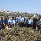 اتلاف 3 أطنان مواد مخدرة بقيمة 50 مليون شيقل في الخليل