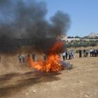 اتلاف 3 أطنان مواد مخدرة بقيمة 50 مليون شيقل في الخليل