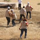 مركز معا يدعم مناطق الاغوار بطرود غذائية