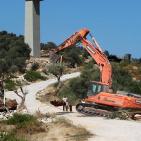 فاشية المحتل  في قمع المدافعين عن الزيتون