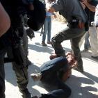 فاشية المحتل  في قمع المدافعين عن الزيتون