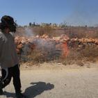 مواجهات في مسيرة النبي صالح الاسبوعية ضد مصادرة الاراضي