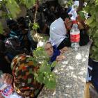 تشييع جثمان الشهيدة رهام دوابشة في بلدة دوما قرب نابلس