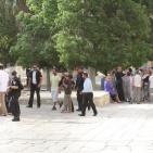 المحتلون يحمون اقتحام الارهابيين المتطرفين للاقصى اليوم الاحد