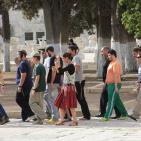 المحتلون يحمون اقتحام الارهابيين المتطرفين للاقصى اليوم الاحد