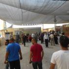 مهرجان العنب في الخليل