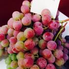 مهرجان العنب في الخليل