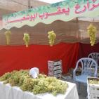 بالصور: مهرجان العنب الفلسطيني 2015