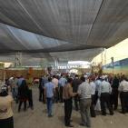 بالصور: مهرجان العنب الفلسطيني 2015