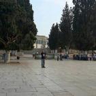 الفايز تطالب بطرد السفير الاسرائيلي في الاردن ردا على الانتهاكات المتكررة للاقصى