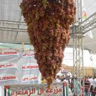 اختتام مهرجان العنب الفلسطيني 2015