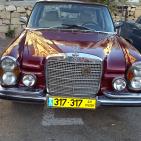 المركبات القديمة في سوق الحرجة في رام  الله