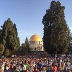 الاقصى  في اول ايام العيد