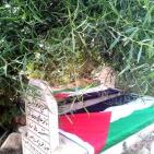 في قرية تل _ قضاء نابلس تزيين قبور الشهداء بعلم فلسطين