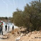 بلعين في مسيراتها  والاحتلال بقمعه