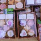 معروضات مهرجان صفا العاشر للثقافة والفنون في صفا -رام الله 26-9-2015