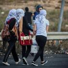 مواجهات اليوم السبت قرب مدخل البيرة الشمالي