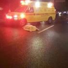 الاحتلال يزعم تنفيذ شاب لعملية طعن قرب لخضيرة