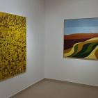 إفتتاح معرض 