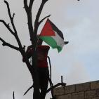 المظاهرة السلمية التي قمعها جيش الاحتلال على مدخل شارع الشهداء بالخليل