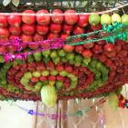 نابلس: صور لاحتفال السامريون بعيد العرش