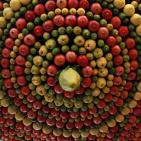 نابلس: صور لاحتفال السامريون بعيد العرش