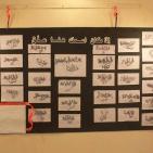 بالصور.. المٌقعد 