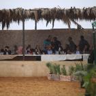 بطولة فلسطين الدولية الثالثة لجمال الخيل العربية الاصيلة في اريحا