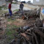 الاستعداد للشتاء