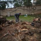 الاستعداد للشتاء