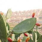 جولة لصحفيين في قرية وادي فوكين بمحافظة بيت لحم