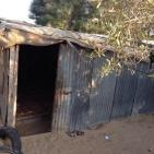 بالصور.. عائلة الترابين 