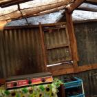 بالصور.. عائلة الترابين 