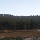 طولكرم: صور لحملة مداهمات المنازل واغلاق الطرق بالسواتر الترابية