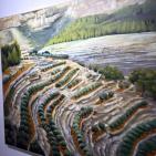 البيرة :افتتاح معرض 