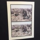 افتتاح معرض 