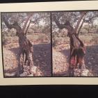 إفتتاح معرض 