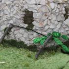 ترك المدرسة ويطمح للعالمية