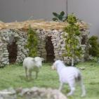 ترك المدرسة ويطمح للعالمية