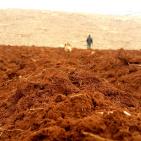 فلاحة الارض وزرعها في المرتفعات المطلة على الاغوار