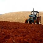 فلاحة الارض وزرعها في المرتفعات المطلة على الاغوار