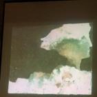 الكاتبه مليحه مسلماني  تطلق كتاب تجليات الحرف في امسية في متحف درويش