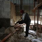 صناعة الملح من البحر الميت