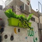 إطلاق مبادرة 