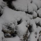 الثلوج في الخليل