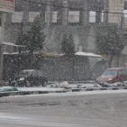 الزائر الأبيض في ضيافة الخليل