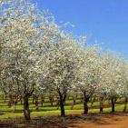 طفولة قديمة المتوكل طه